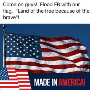 Meet your Posher, Lynn